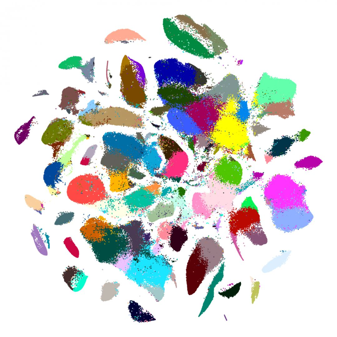 1587955832136565.png 1587955832136565.png